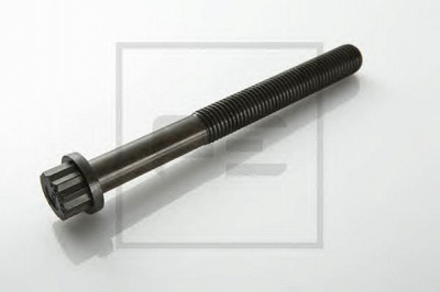 PE AUTOMOTIVE 01008300a -  Болт головки цилиндра